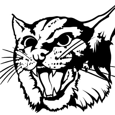 Bobcat